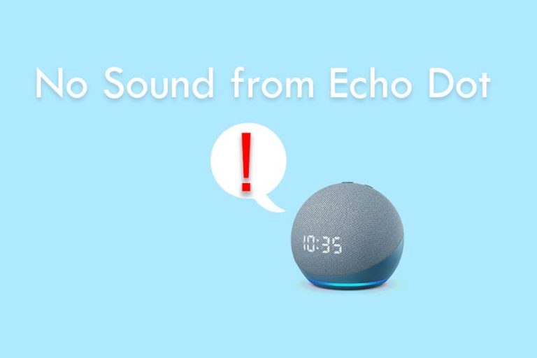 Echo Dot Speaker Not Working